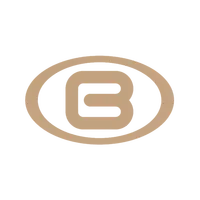 Baoqi car logo