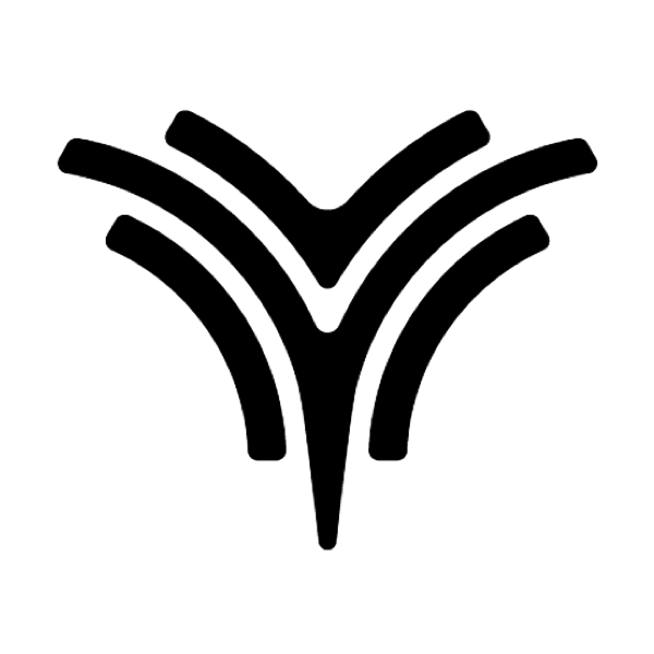 Neta car logo