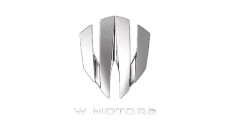 W Motors car logo